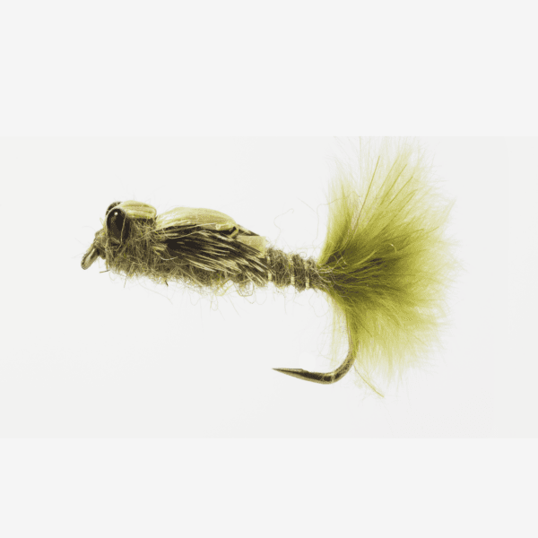 Mature Damsel Nymph fly pattern - Damselfly emerger image