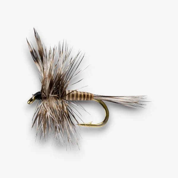 Mosquito Adult fly pattern - Mosquito dry image