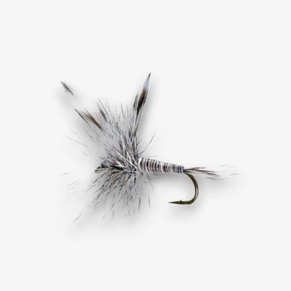 Mosquito Dry fly pattern - Mosquito dry image