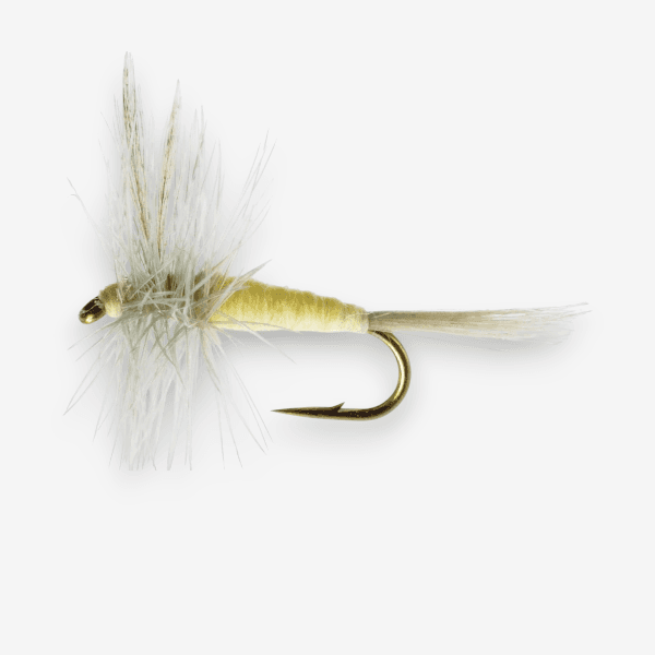 Pale Morning Dun fly pattern - PMD dry image