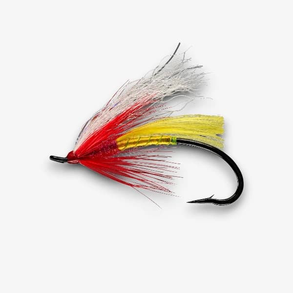 The Sno-Cone fly pattern - Wet Flies streamer image