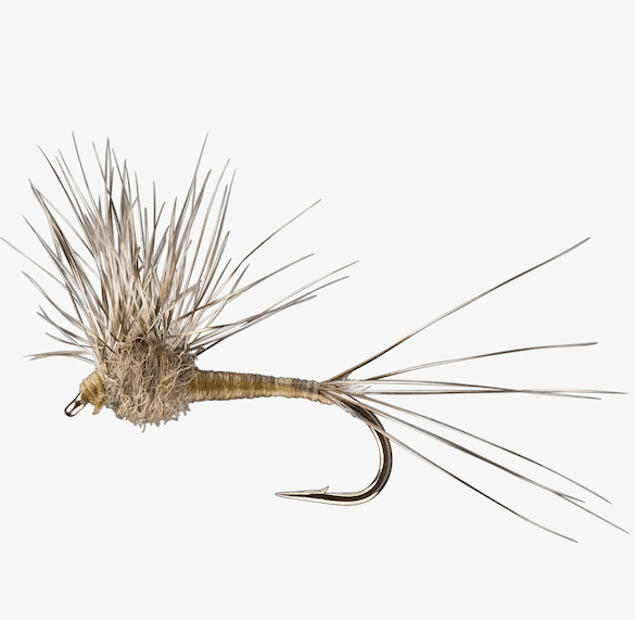 Hackle Stacker fly pattern - Mayfly emerger image