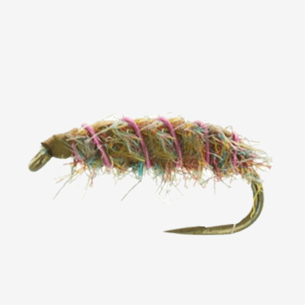 Tailwater Sowbug fly pattern - Crustacean nymph image