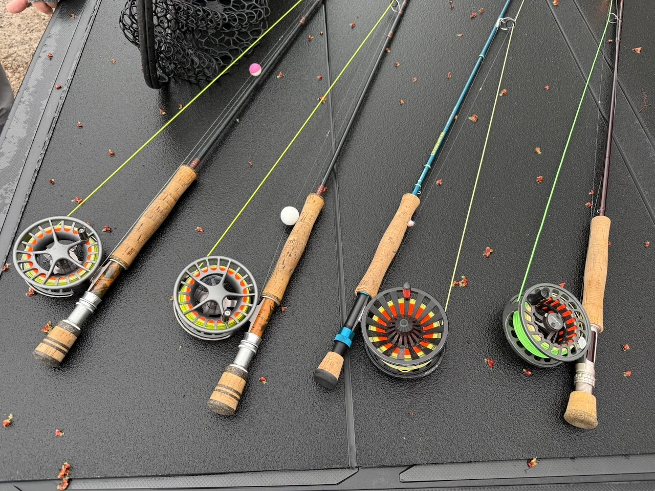 Colorado fly fishing in 2026