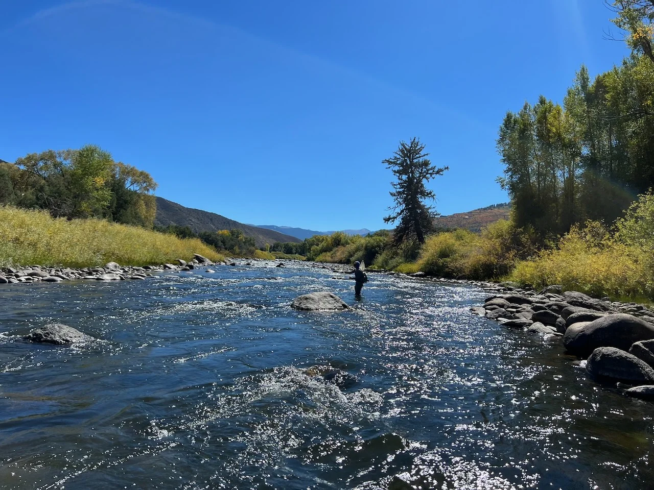 Colorado fly fishing on the Eagle River