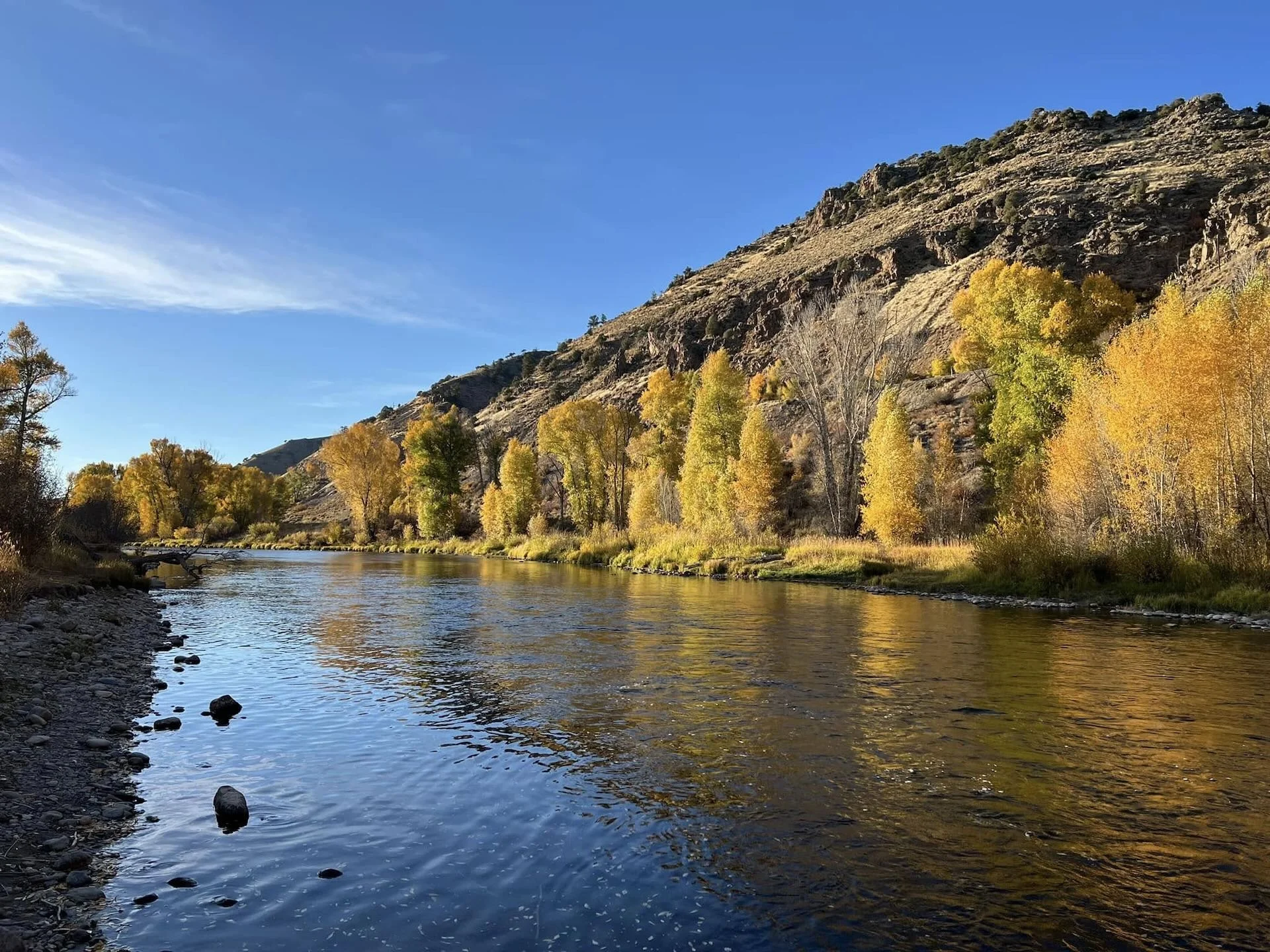 Upper Colorado River fly fishing